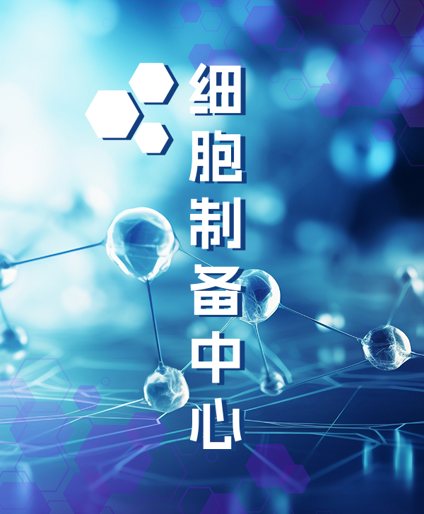 政策布景