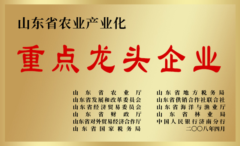 企业荣誉