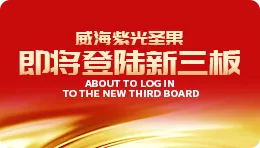 【搜狐】新闻速递|公海彩船6600圣果拿到“通关证书” ，即将登陆新